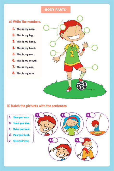 Worksheets » here you will find a guide to our worksheets (read and match, missing letters, crossword, wordsearch). Body Parts Matching interactive worksheet