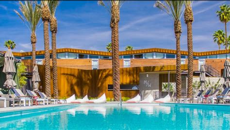 Top 15 Dog Friendly Hotels In Palm Springs 2020 Boutique Travel Blog