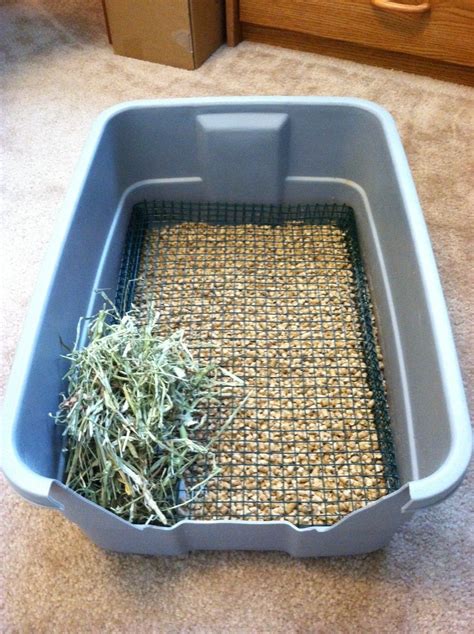 20 Best Diy Rabbit Litter Box - Home, Family, Style and Art Ideas