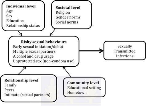 Figure 1 From Risky Sexual Behavior And Sexually Transmitted Infections