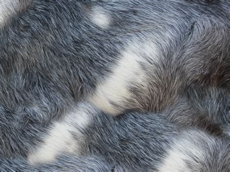 High quality furry texture gifts and merchandise. Animal Fur Texture Free Download (Fabric) | Textures for ...
