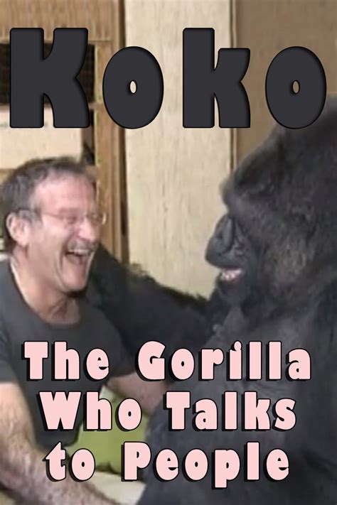 Koko The Gorilla Who Talks To People 2016