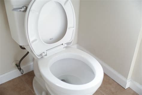 3 Reasons Your Toilet Keeps Clogging Construction Marketing