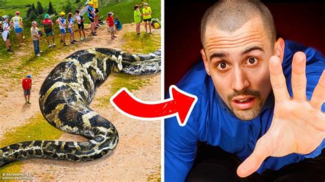 世界最大のヘビに食べられたら人間はどうなる？ 有名youtuber
