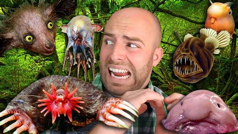 The 10 Weirdest Animals In The World Youtube