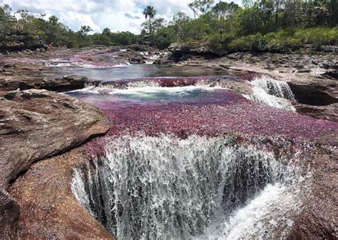 Caño Cristales Colombias Rainbow River The Travelling Triplet