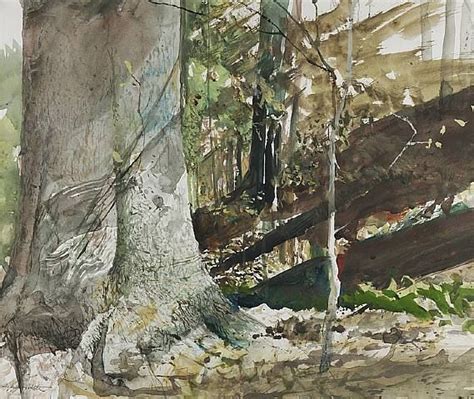 Andrew Wyeth 1917 2009 Музей рисунка — Livejournal Watercolor Trees
