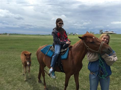 Neta cared for laura at the end of her life and was later sought out by little they had a homestead claim near this town. At the Laura Ingalls Wilder homestead, De Smet, SD | John ...