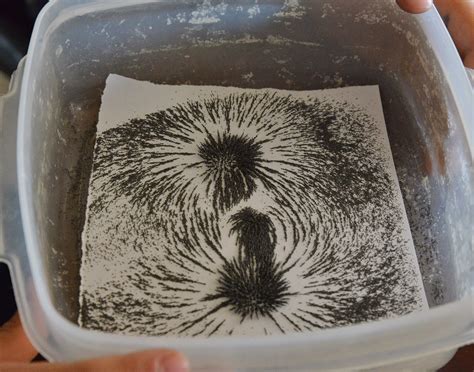 In addition, magnetic fields create a force only on moving charges. A school of fish: Magnet Play: 2-D Magnetic Fields ...