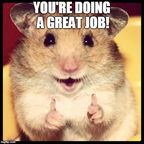 Go ahead and check out our amazing good job meme collection that's guaranteed to make you feel even better about your accomplishments. Bosses be like - Imgflip