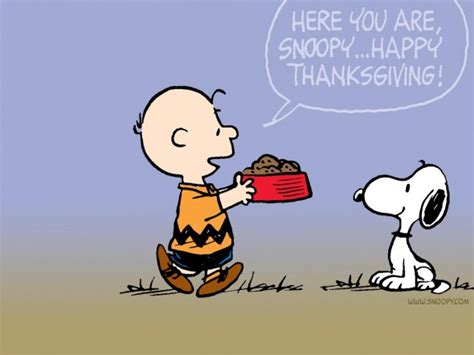 Cartoon Thanksgiving Wallpapers 9st Street Holiday