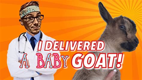 I Delivered A Baby Goat Youtube