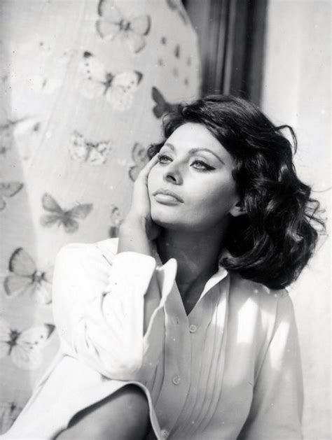 Groovy Photos Sophia Loren Sofia Loren Sophia Loren Images Hot Sex Picture
