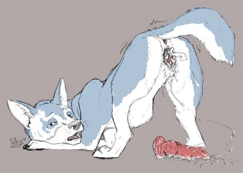 Rule 34 Anatomically Anus Canid Canine Canis Correct Domestic Dog