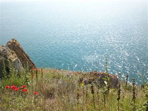 Nature Landscape Bulgaria Flowers Sea Wallpapers Hd