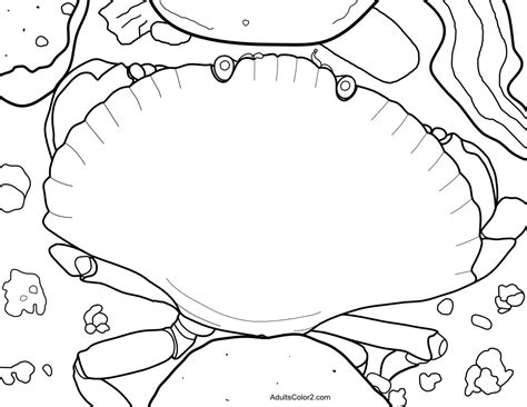 The hermit crab is a crustacean, but it is very different from other crustaceans. Crab Coloring Page: Cantankerous Crustaceans