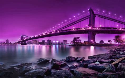 Water Cityscapes Purple Bridges City Skyline Wallpaper 2560x1600