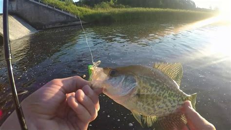 Summer Crappie Fishing In Northern Wi Youtube