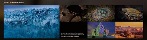 Get The Story Behind The Bing Homepage Image Laptrinhx