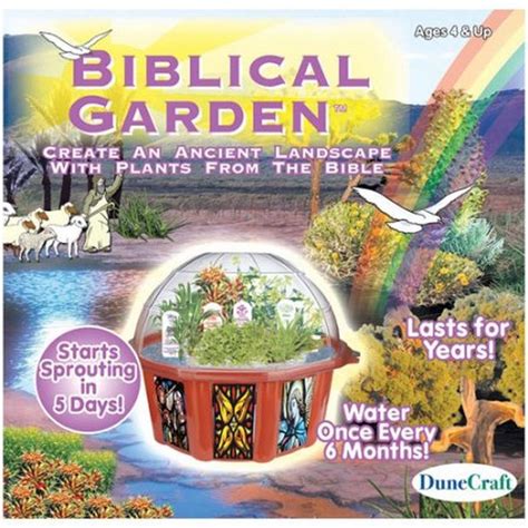 Biblical Gardens Materializing The Bible