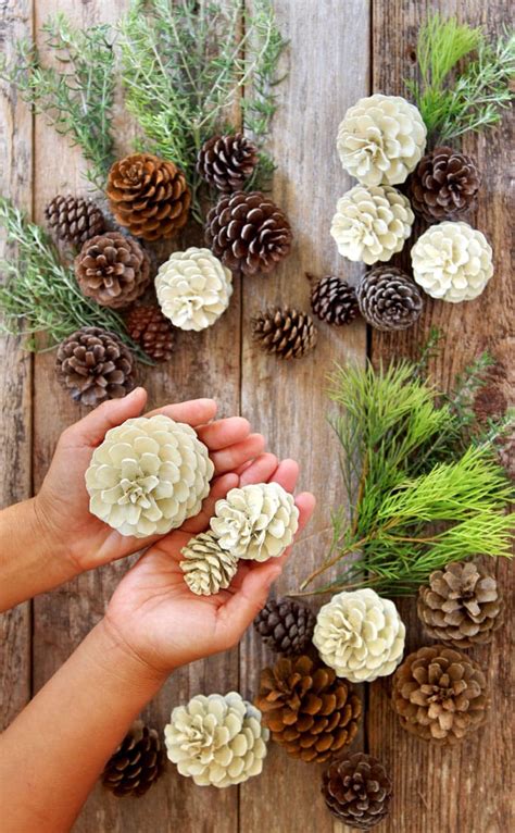 easiest 5 minute bleached pinecones {without bleach } pine cone decorations easy christmas