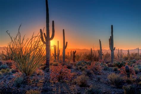 Sunset In Saguaro National Park Off The Beaten Path
