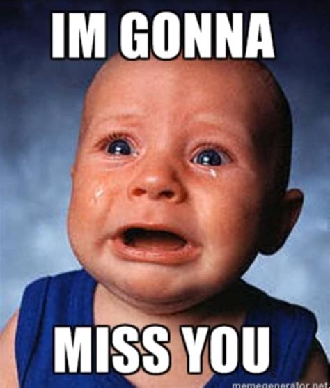 60 Cutest I Miss You Memes Of All Time