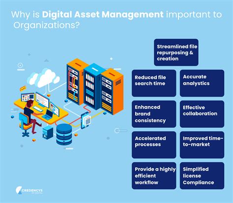 An Ultimate Digital Asset Management Guide