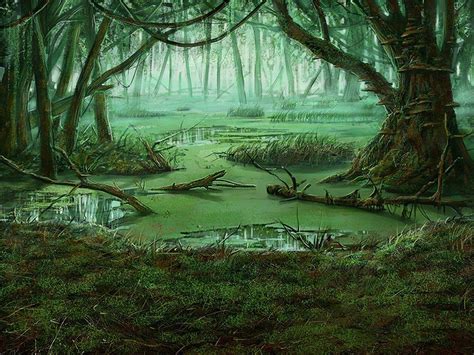 Swamp Wallpapers Top Free Swamp Backgrounds Wallpaperaccess