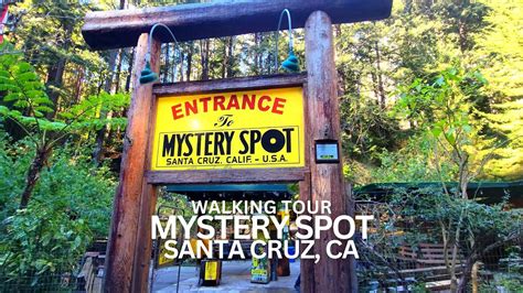 Exploring The Mystery Spot In Santa Cruz California Usa Walking Tour