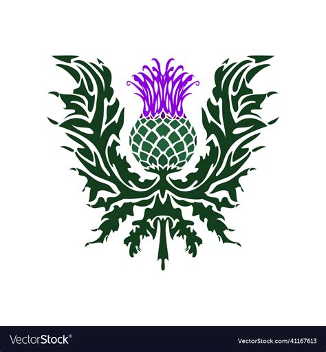 Thistle Is The Symbol Of Scotland Flower Vector Image