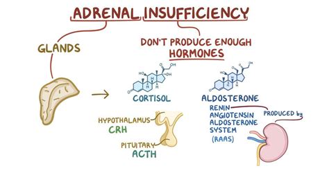 Pathophysiology Of Adrenal Insufficiency