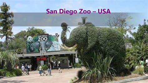 10 Most Fascinating Zoos In The World Youtube