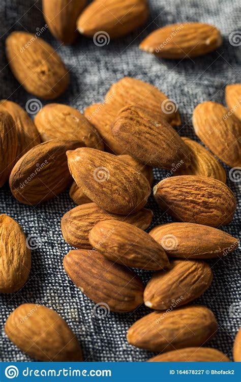 Raw Organic Shelled Almonds Stock Image Image Of Seed Tasty 164678227