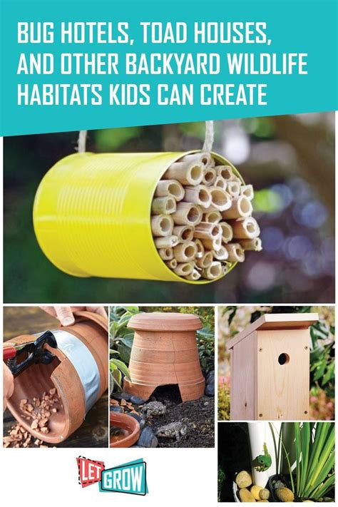 8 Awesome Backyard Wildlife Habitats Kids Can Create In 2020 Wildlife
