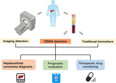 Advances In Biomarker Discovery Using Circulating Cell‐free Dna For