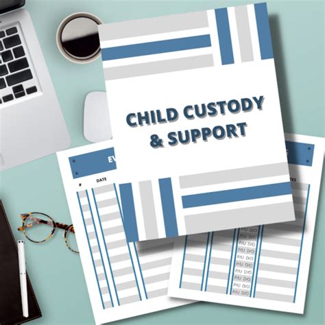 Child Custody And Support Binder Organizer Next With Lena Nguyen