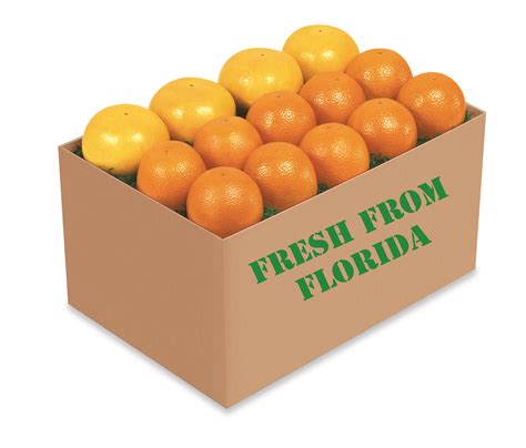 Florida Citrus Florida Oranges Red Delicious Apples Variety Of