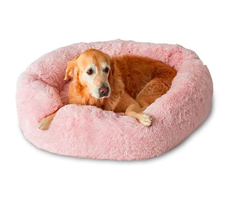 Pet Calming Bed Pupnaps Canadas Favourite Dog Bed