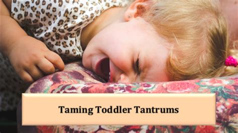 Taming Toddler Tantrums Youtube
