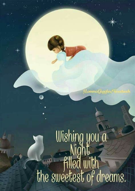Pin By Asmaa Kadry On You Can Fly Good Night Moon Good Night