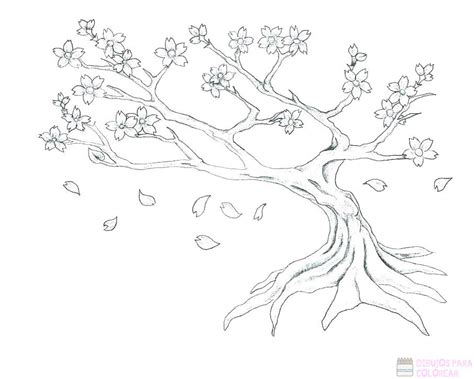 ᐈ Dibujos De Cerezos【1000】para Colorear Hoy