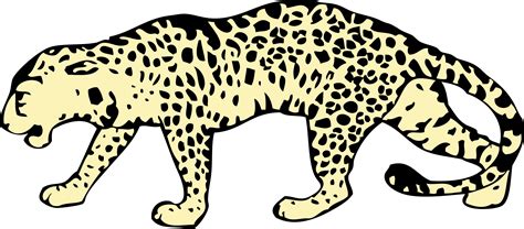Leopard Png Images Transparent Free Download Pngmart