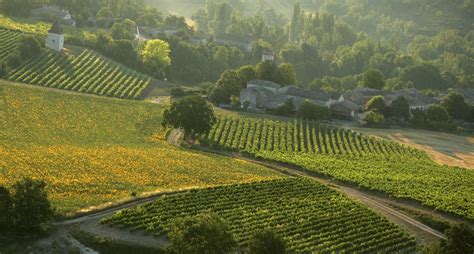 Visit The South West Vineyards Wine Tourism