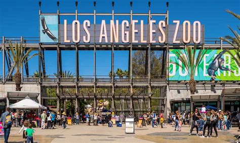 About Los Angeles Zoo And Botanical Gardens La Zoo