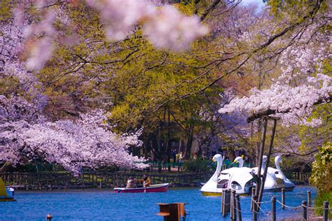 10 Best Nature Spots In Tokyo Japan Web Magazine
