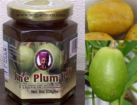 A Taste Of The Jamaican June Plum Jelly Made From Real June Plums