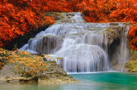 Download Turquoise Tree Fall Nature Waterfall 4k Ultra Hd Wallpaper