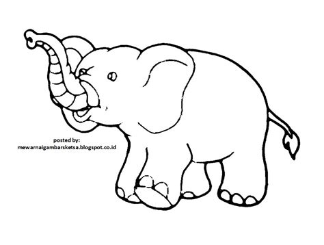 10 gambar sketsa gajah paling mudah bagus clipart portal. Sketsa Gambar Gajah Untuk Kolase - Arini Gambar