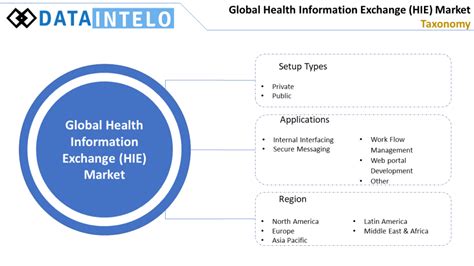 Health Information Exchange Hie Market Size Trends Industry Report